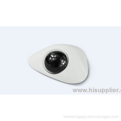 Push Alarm Function 720p Dome Ip Cameras